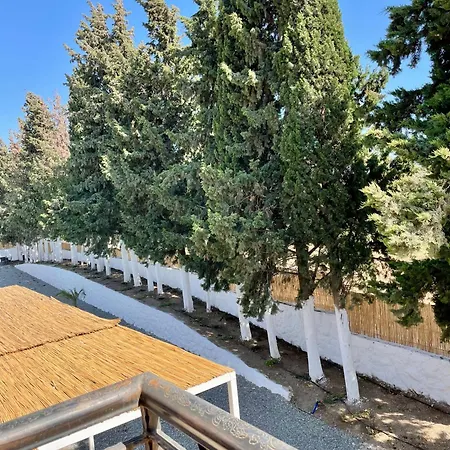 Apart Otel çam Datça